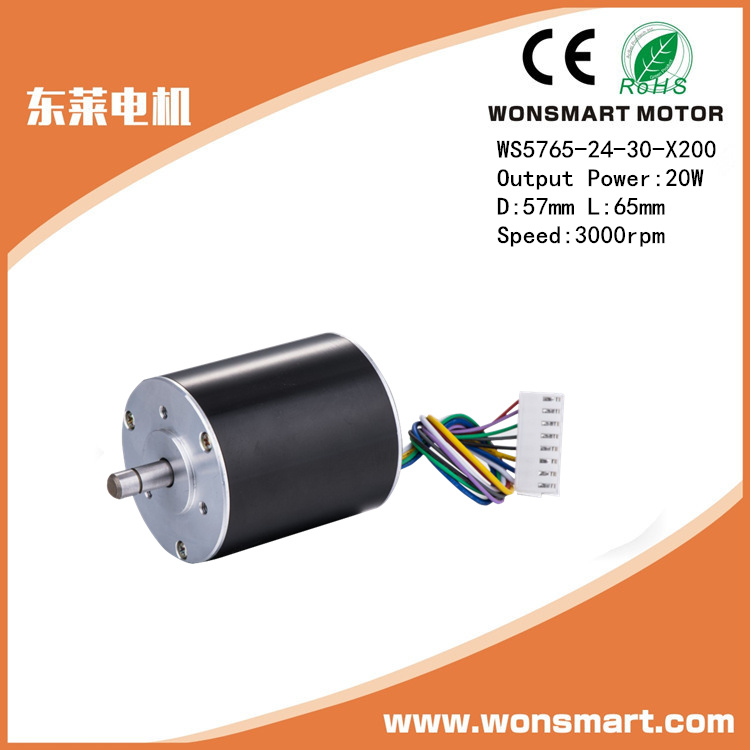 Brushless DC Motors with Long Lifetime