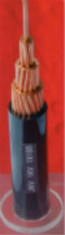 24 Core Low Voltage PVC Insulated Flame Retardant Power Control Cable