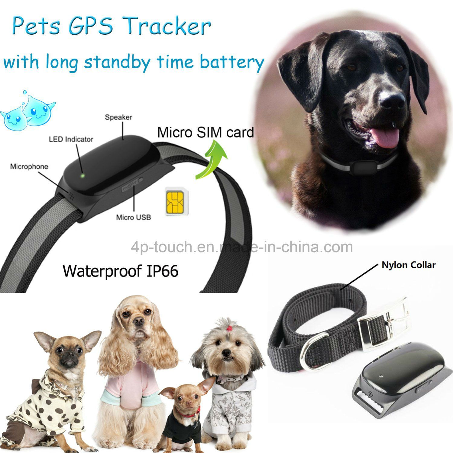 Real Google Map Tracking Pet GPS Tracker with Collar (EV-200)