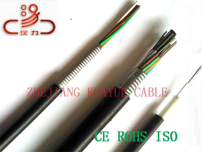 Central Loose Tube GYTA53 Fiber Optic Cable/Computer Cable/Data Cable/Communication Cable/Audio Cable/Connector Cable