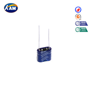 Super Capacitor Kamcap 0.22f 5.5V Combined Series & Entire Sealing Series Farad Capacitor