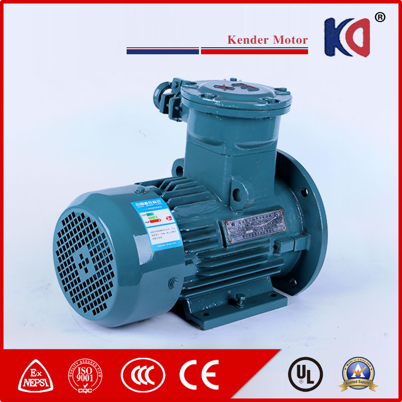 Three Phase Flame Proof AC Electric Motor with 380V