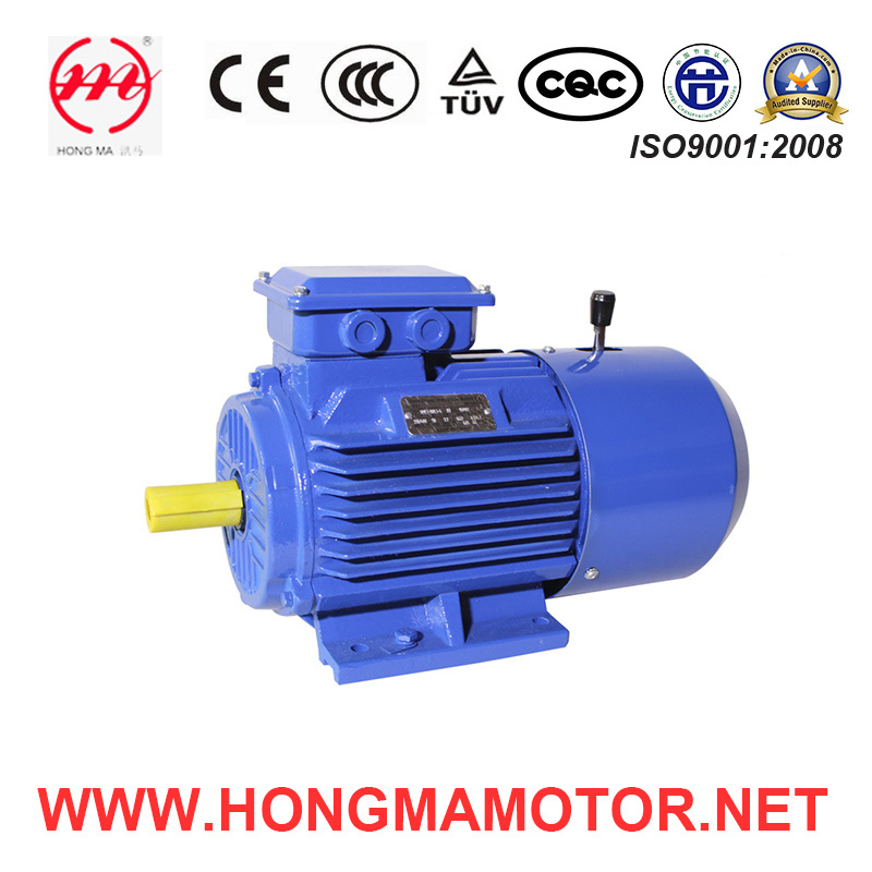 DC Motor/Three Phase Electro-Magnetic Brake Induction Motor with 4pole-0.25kw
