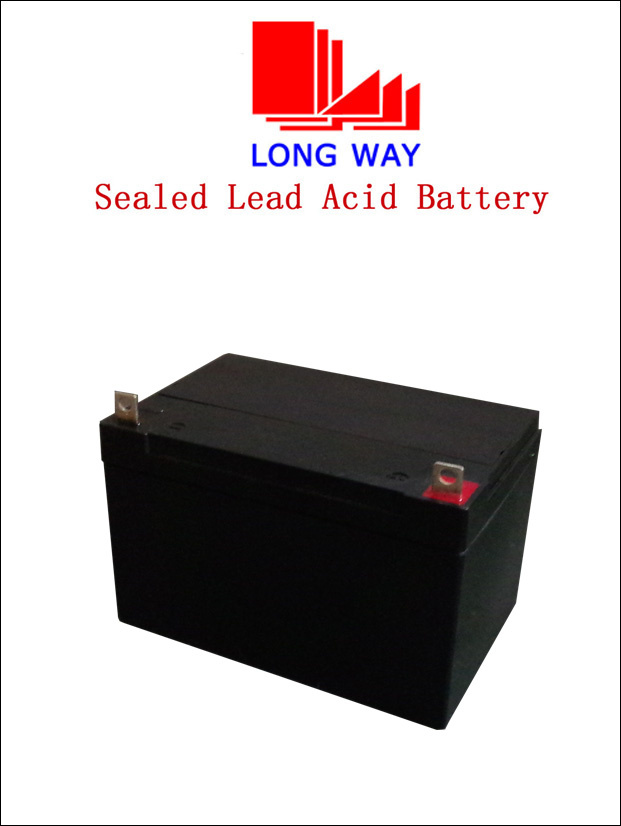12AMP Jump Starter Power Backup Battery with Maintenance-Free Operation
