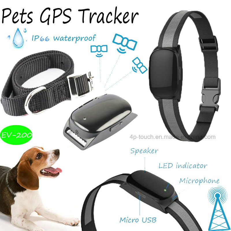 Waterproof IP66 Pet GPS Tracker with Real-Time Monitoring & Geo-Fence (EV-200)