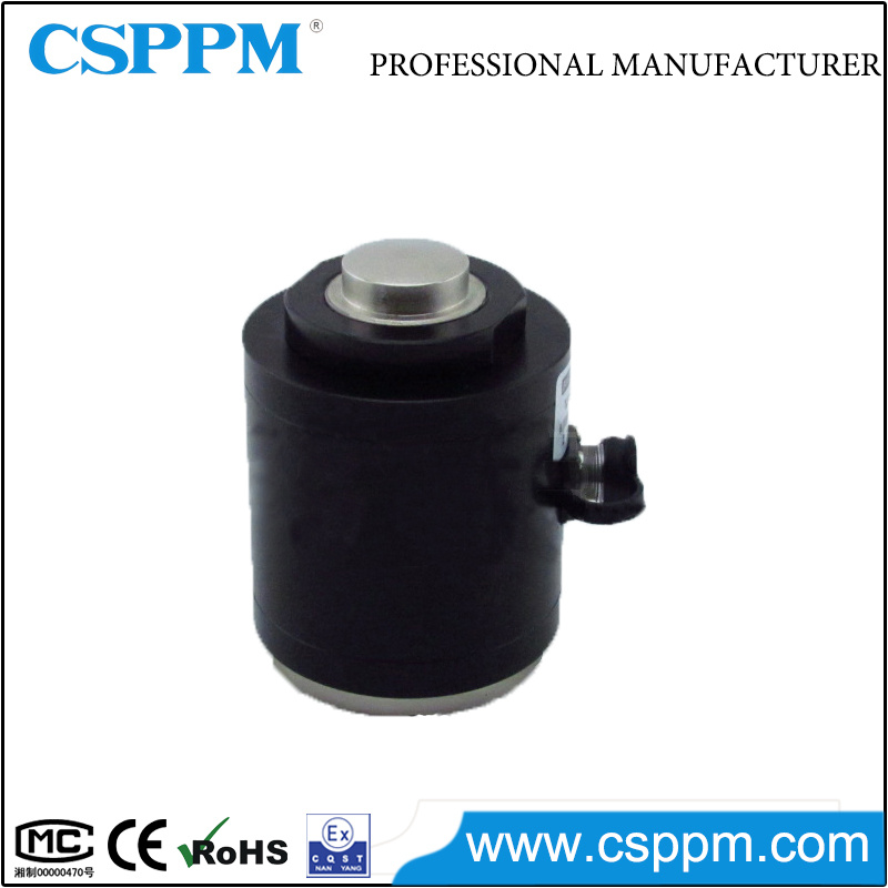 High Capacity Column Weighing Sensor Ppm231-Ty02