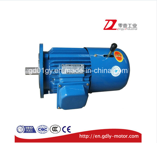 80~150 Electromagnetic Brake Three Phase Induction Electric Motor