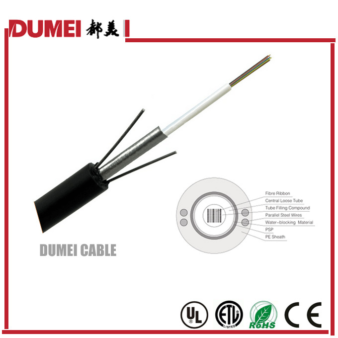 Gydxtw Outdoor Ribbon Optical Fiber Cable for Network