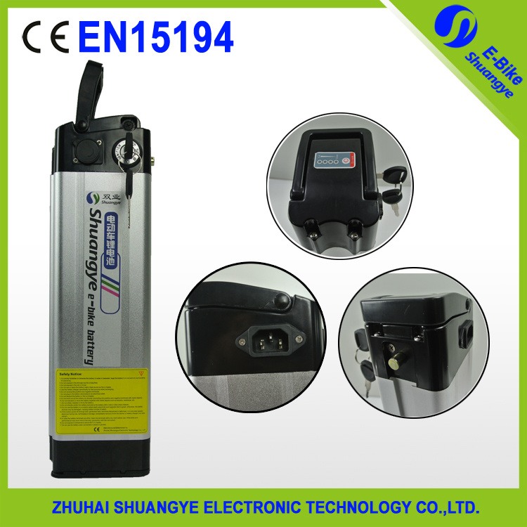 Silver Fish 48V 10ah Lithium Battery for Electric Bicycle