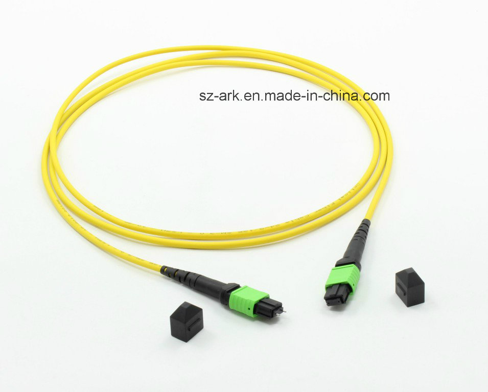 MPO-MPO 12cores Siglemode Optical Fiber Patchcord