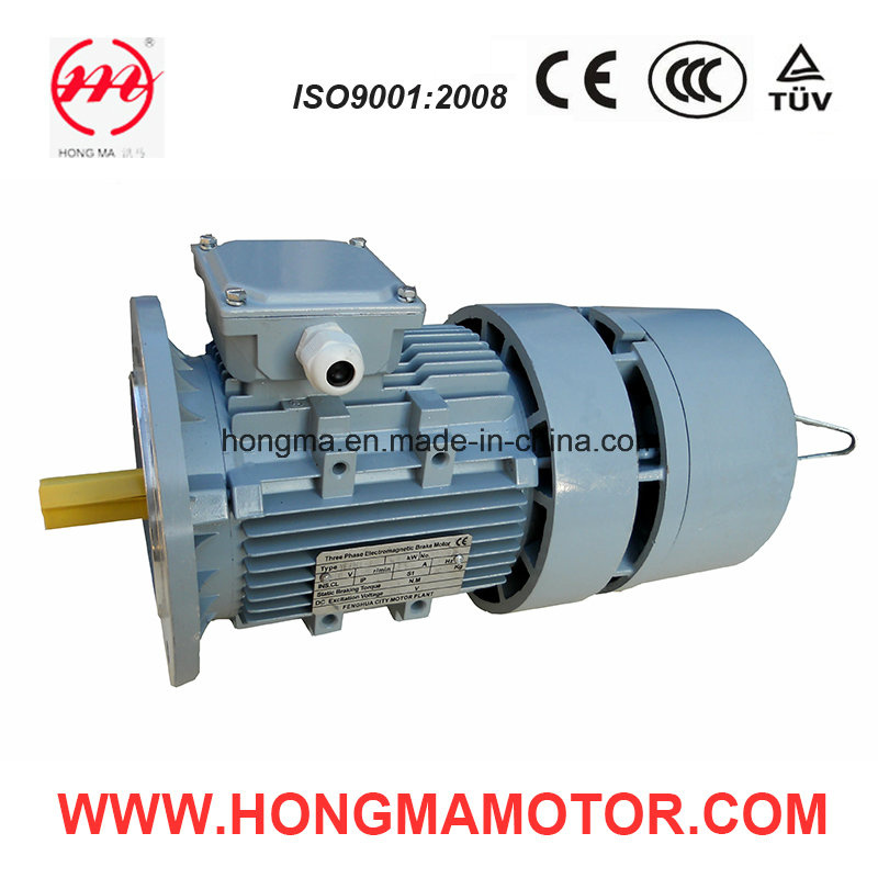 Hmej (AC) Three Phase Electro Magnetic Brake Electric Motor 315L2-4-200