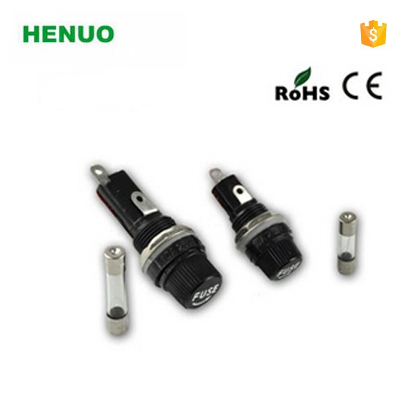 Fs -10 Electronic Protection Glass Fuse