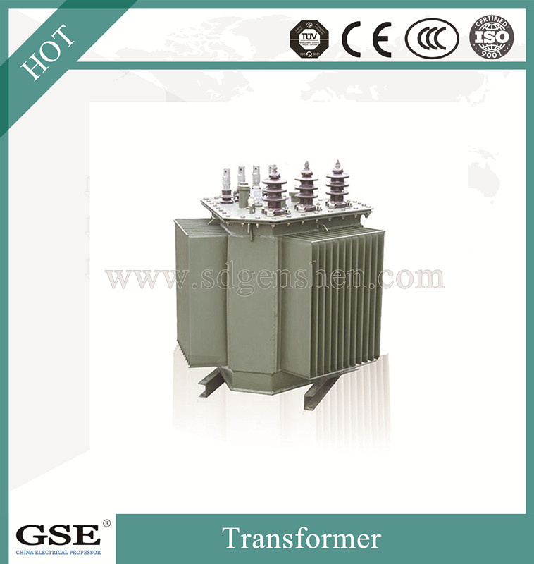 S11-Mr-L 30-2500 kVA Three-Phase Oil-Immersed Fully-Sealed Power/Distribution Transformer