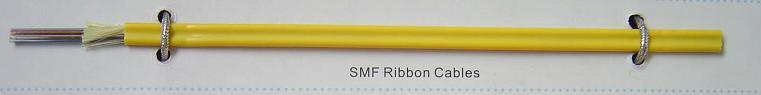 Fiber Optical 12f Ribbon Sm Cable