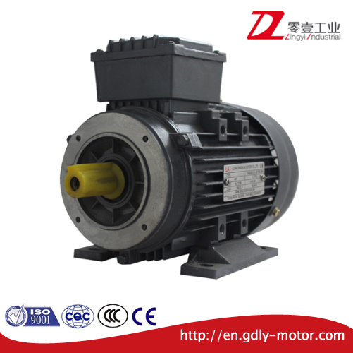 Ye2-80~160 Series Aluminum Housing High Efficiency Three Phase Asynchronous Electric Motor