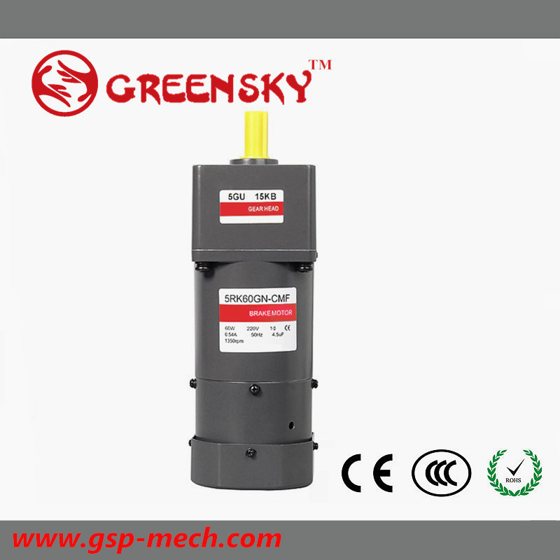 90W 90mm AC Induction Gear Motor