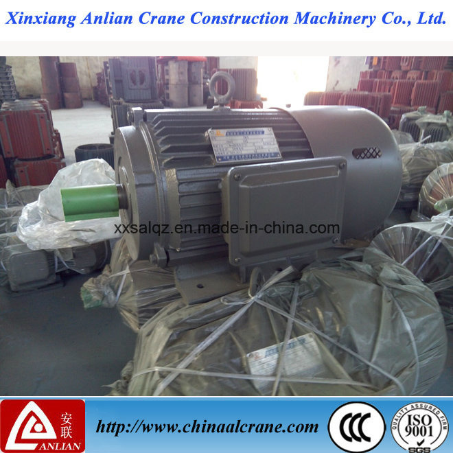 Metalurgical 380V Electric Motor with Reduction Gear