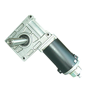 Worm DC Motor (90ZYT-WOG)