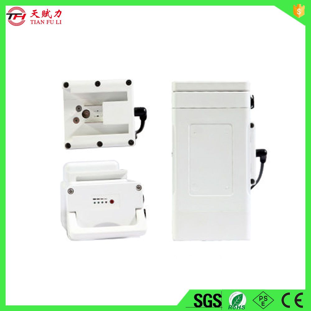 High Capacity 36V 8.7ah E-Bike Battery Pack