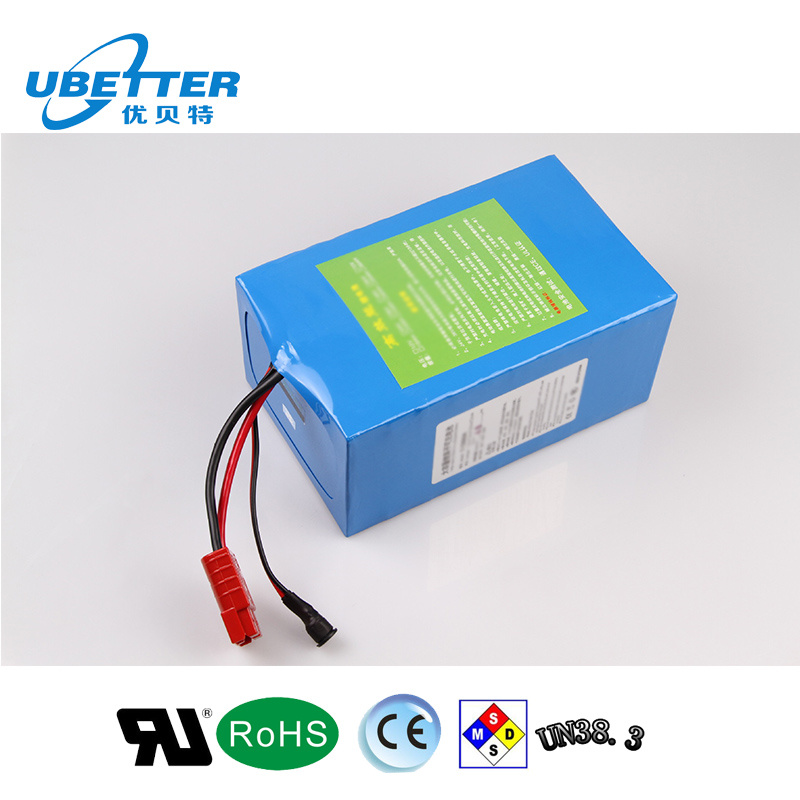 Rechargeable Lithium Polymer Power Station Battery Pack /E Bike Battery