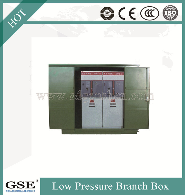 10kv Low Voltage Outdoor Power Branch Distribution Box (with SF6 load switch)