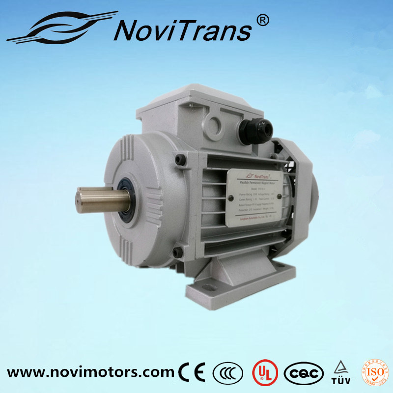 AC Universal Permanent-Magnet Motor by Langham