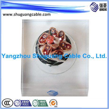 Cu Fully Screened/XLPE Insulated/PVC Sheathed/Computer/Instrument Cable