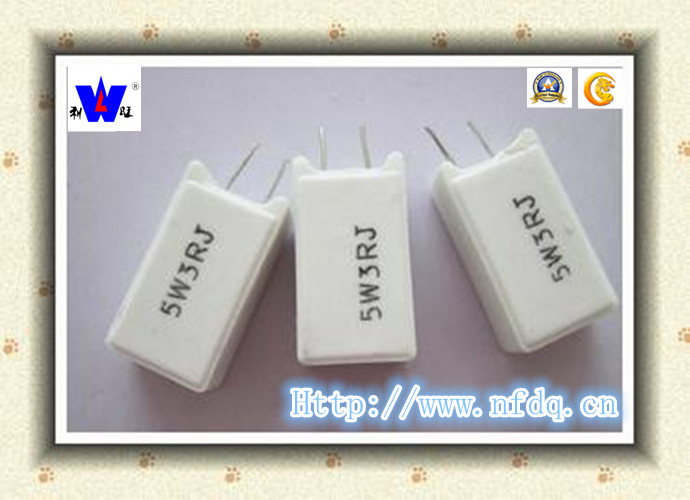 Rgg (RX27-5) Wirewound Resistor for PCB