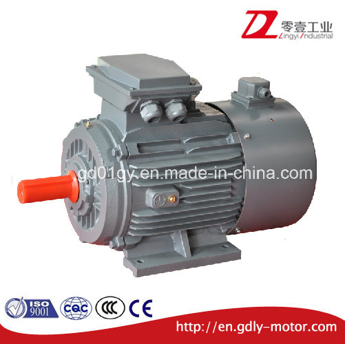 Variable Speed Three Phase Induction Motor