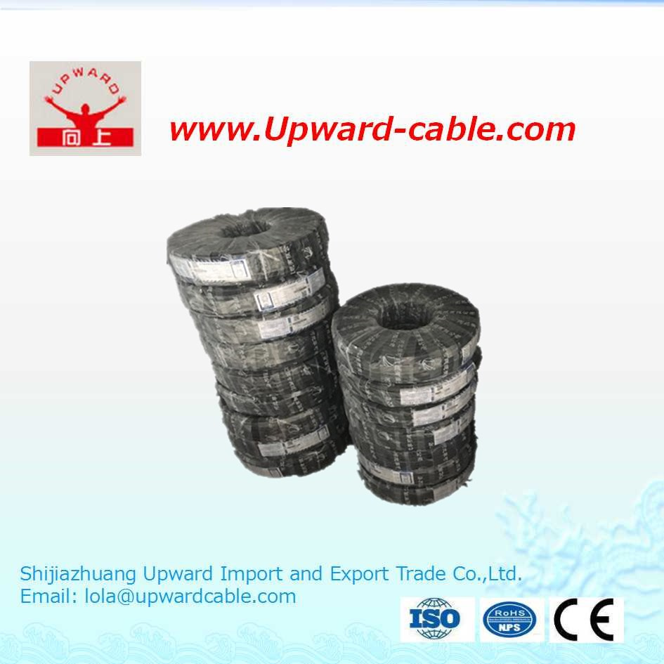Rvv2*2.5 GB Standard Soft Sheath Copper Electrical Wire