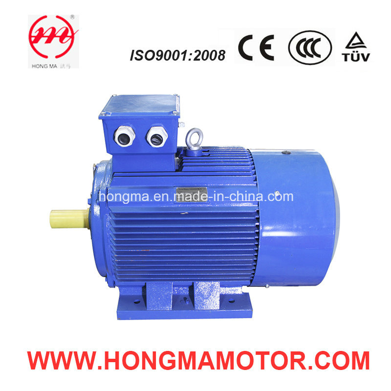 2HMI Cast Iron Three Phase Asynchronous Induction High Efficiency Electric Motor