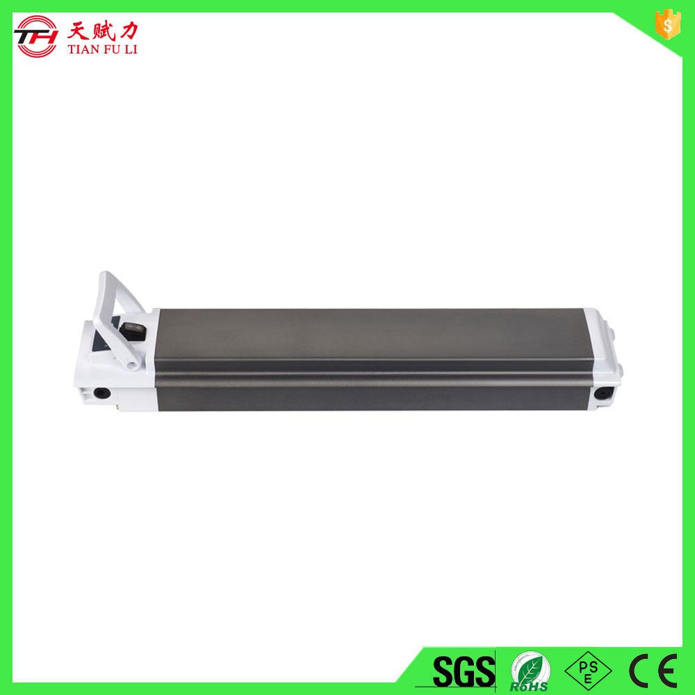 Customized 48V Lithium Ion Battery for Electric Bike