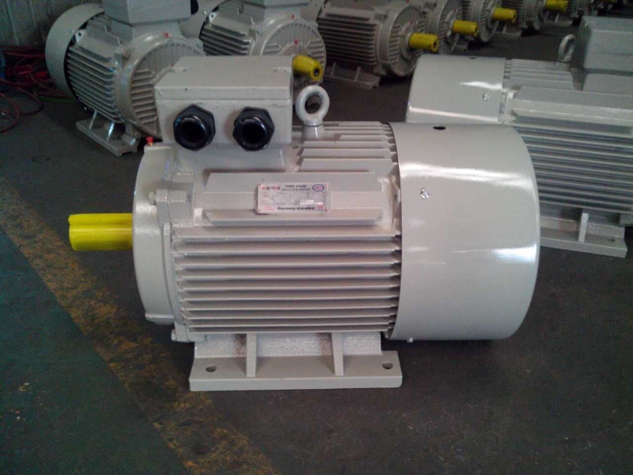 Ie2 (CE) Y2 Three Phase Electrical Motor (Y2-160M-4)