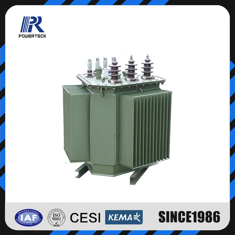 17.5kv 800kVA Onan Distribution Transformer Manufacturer