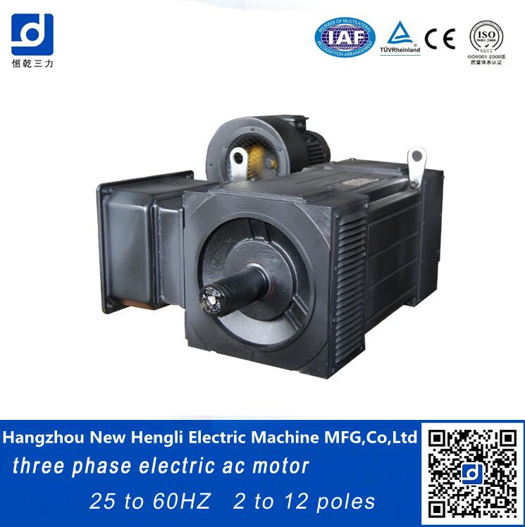 Ie3 255kw 660V 60Hz AC Electric Induction Speed Variable Motor