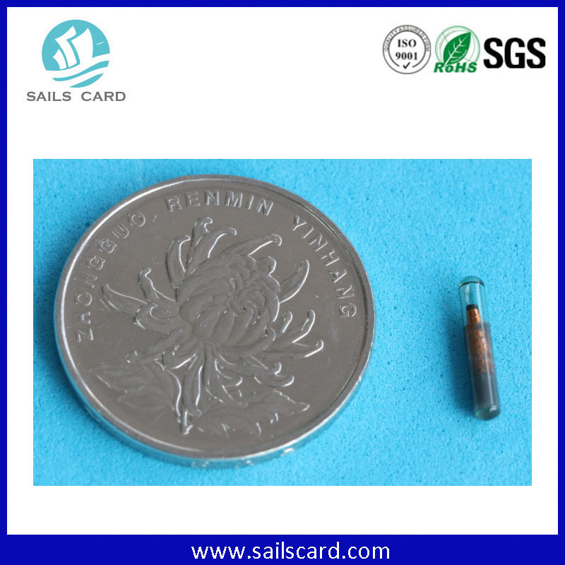 Animal Pet Tracking RFID Glass Tube Microchip with Syringe