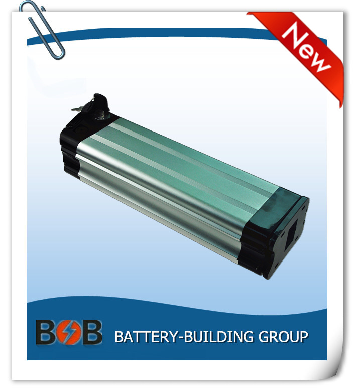 24V 20ah Silver Fish Lithium Battery Pack