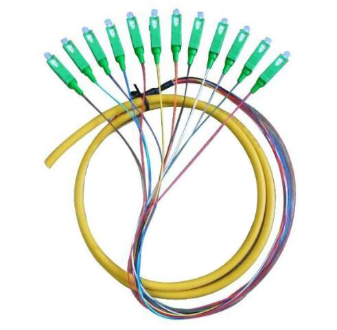 Sc/APC Singlemode 12 Fiber Cores Fiber Pigtail