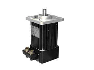 Conventional Middle Inertia AC Brushless Servo Motor (BM40)