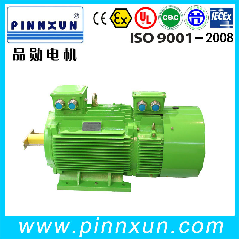 Y2 Series Induction Motor for Pump