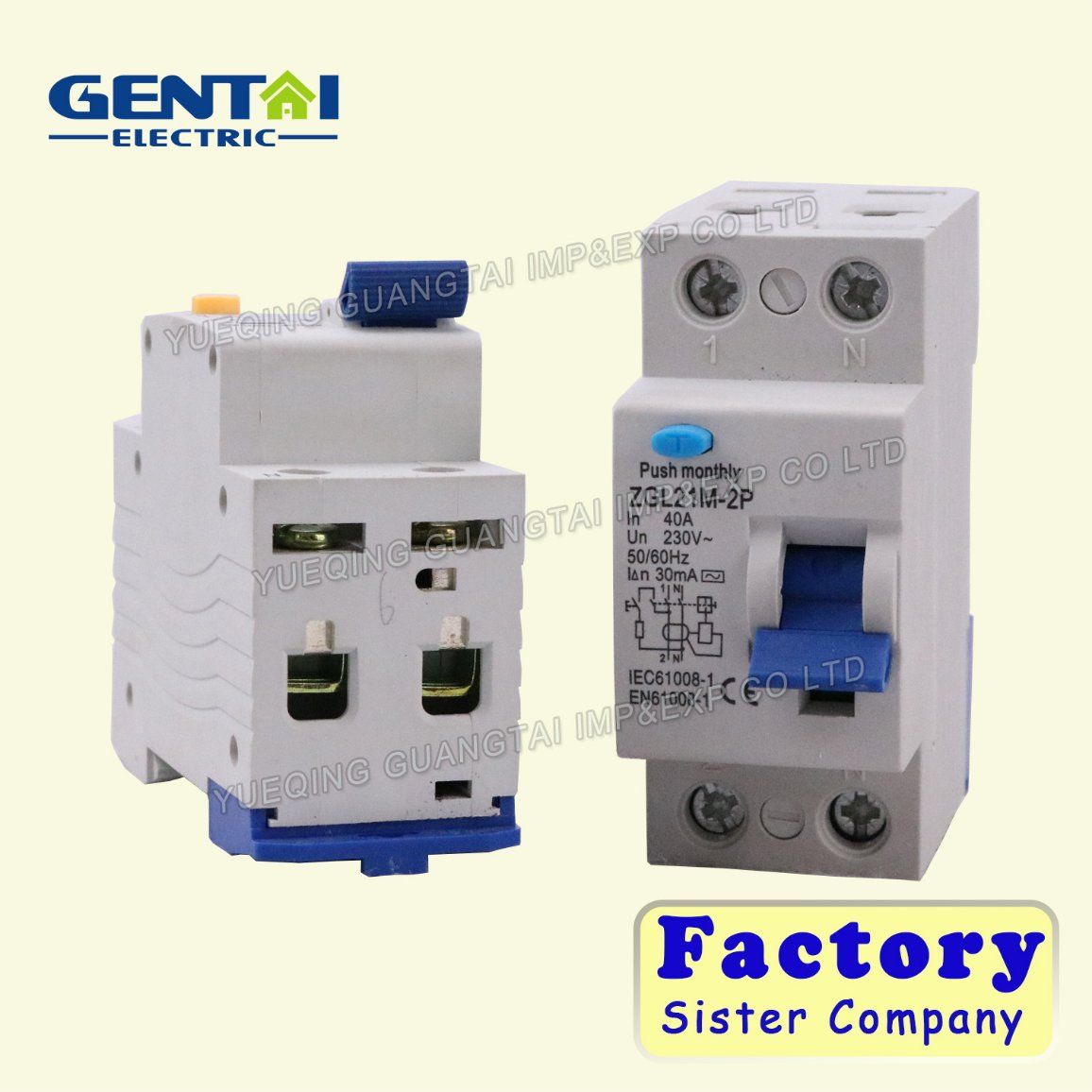 Good Quality RCBO Residual Current Circuit Breaker Zgl21m-2p