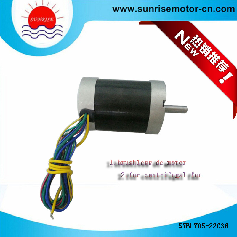 57bly05-22036 High Voltage Electric Motor/DC Motor BLDC Motor