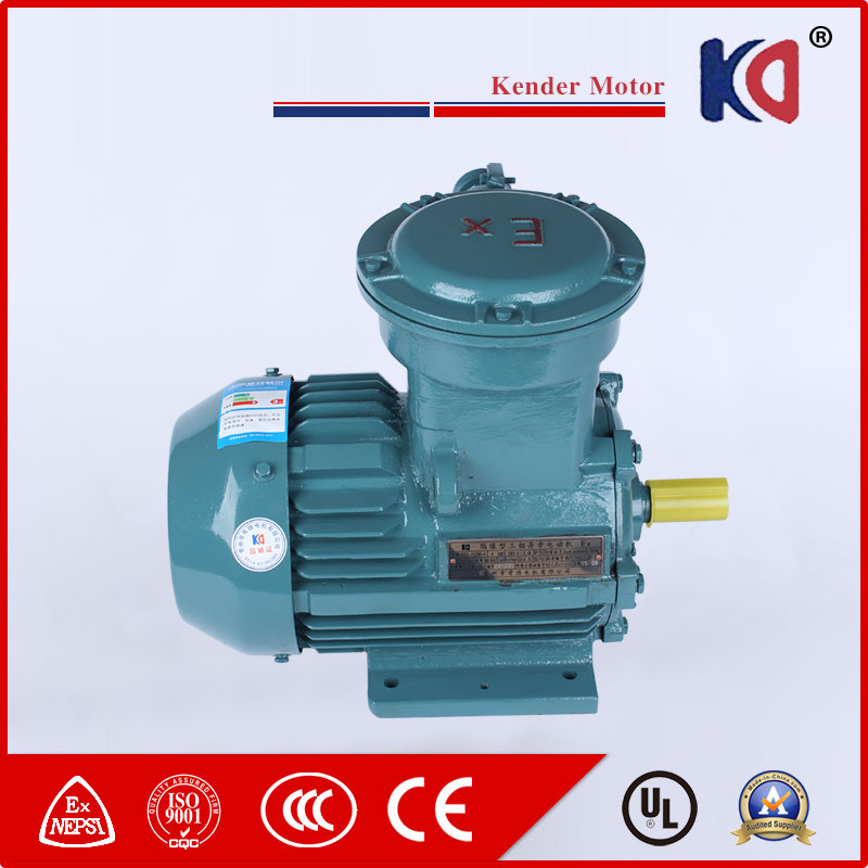 AC Phase Anti-Explosion Electrical Motor for Hot Sale