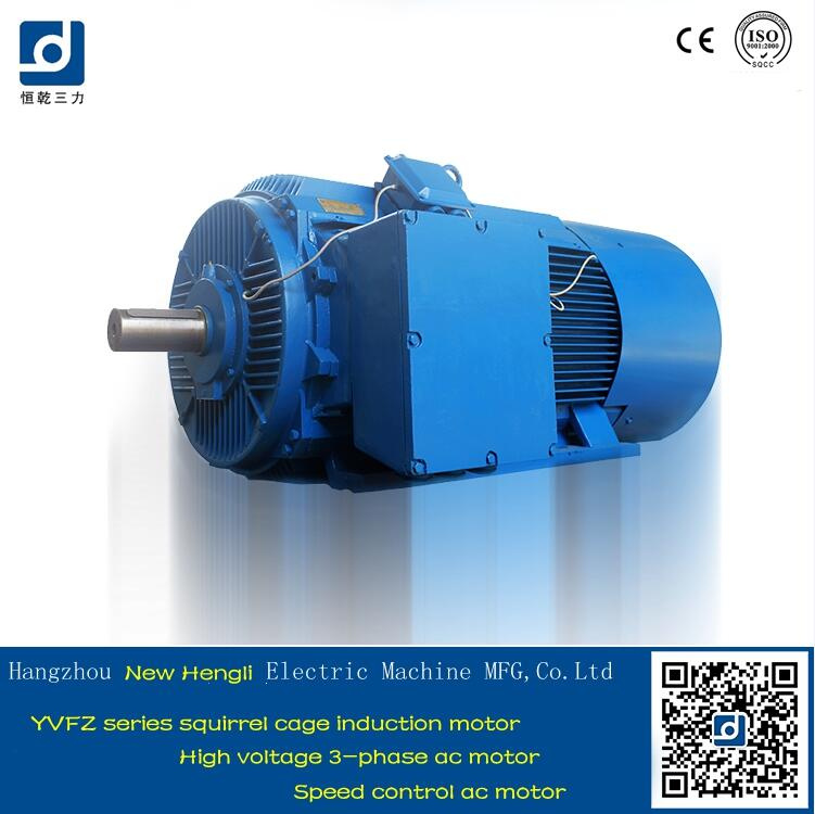 Ce CQC 600rpm 660V Speed Variable AC Induction Motor