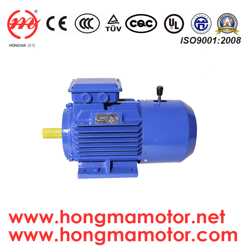 18.5kw 4p Electrical Ie1 Induction Motor with DC Brake (180M-4-18.5kw)