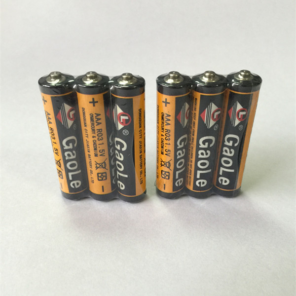 AAA Dry Cell R03 1.5V Battery (Mercury Free)
