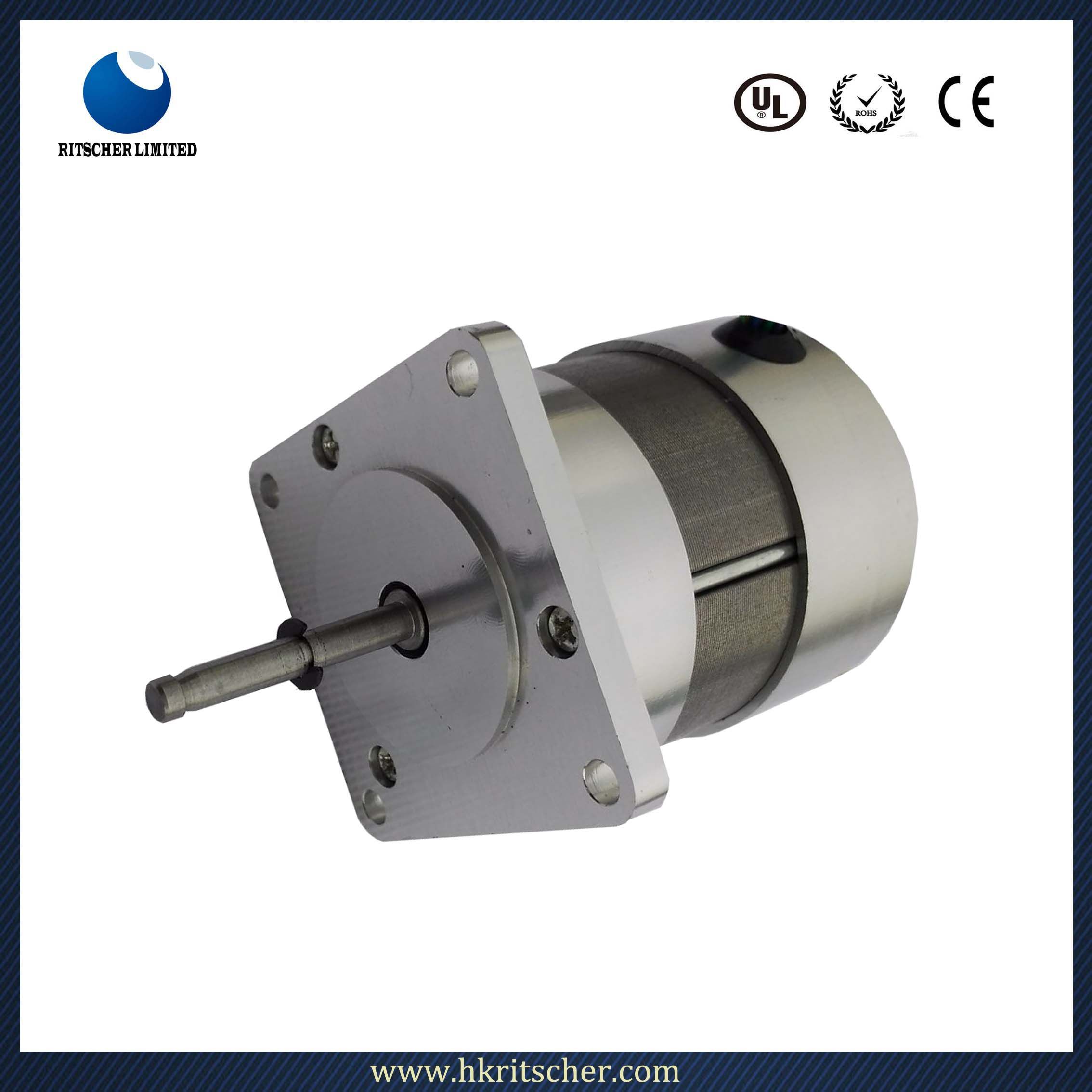220V Brushless DC Motor for Power Tool
