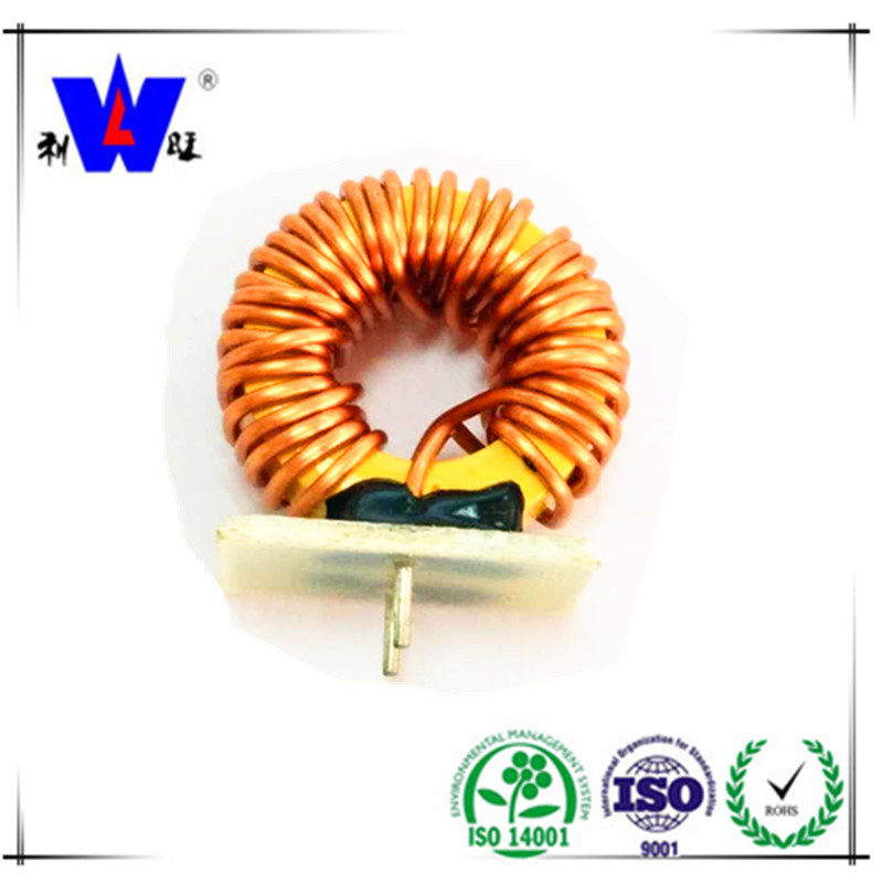 Ferrite Core/Toroidal Choke Coil/Fixed Inductor/Common Mode Choke
