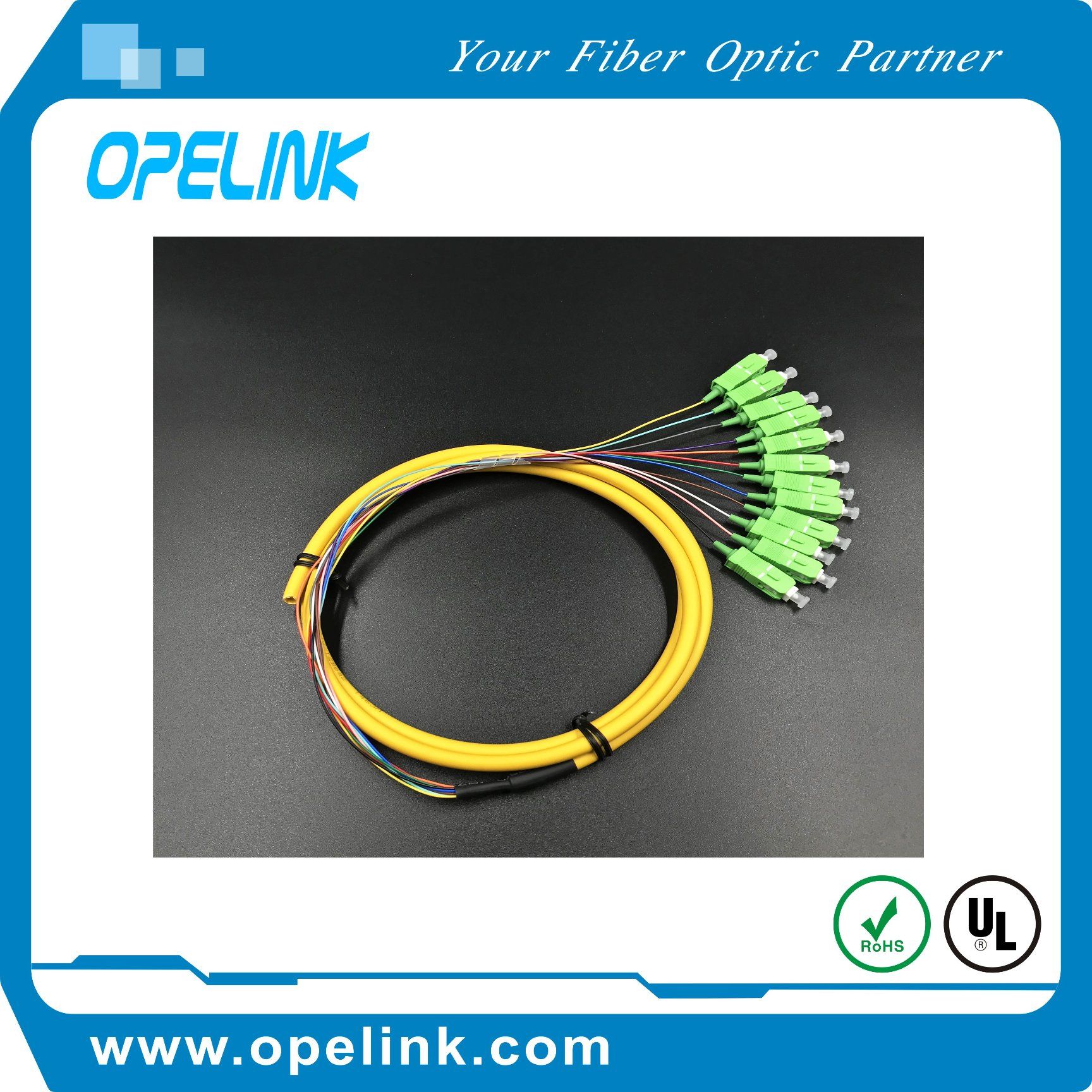 Gpon Telecommucation Fiber Optic Cable 12 Cores Boundle Sc/APC Patch Cords