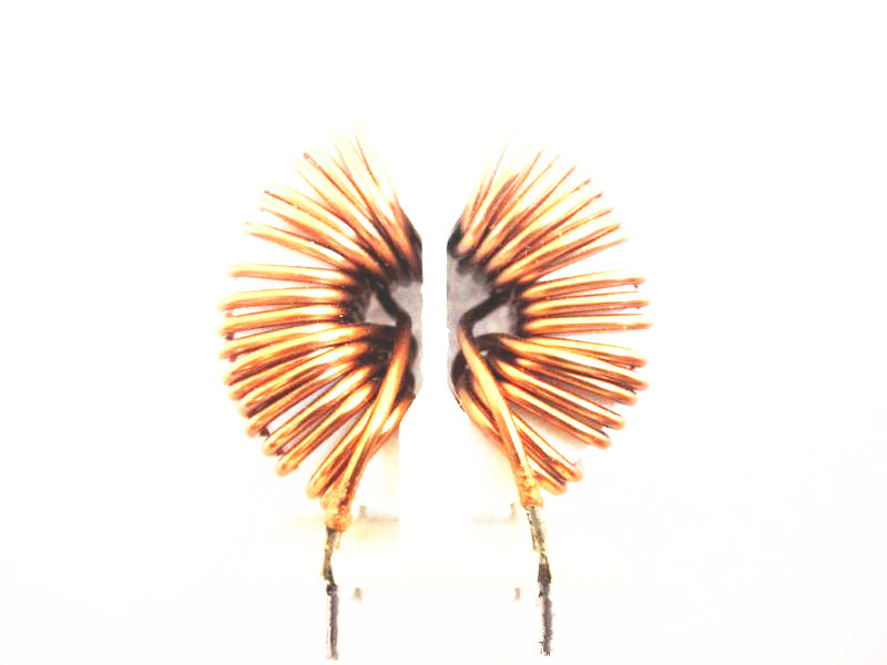 Professional Choke Coil with IEC, ISO9001, Ce Certification